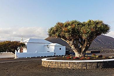 《暗黑血统2》更新光追引起卡顿 或正在修复