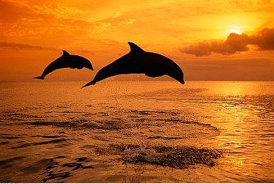 《孤岛惊魂6》免费周末将于明日开启 联动怪奇物语